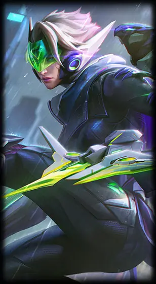 PROIECT: Quinn